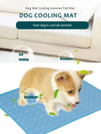 ChillPaw Self-Cooling Mat